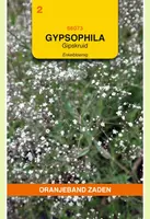 Oranjeband zaden Gypsophila, Gipskruid enkelbloemig wit kopen?