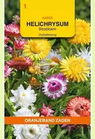 Oranjeband zaden helichrysum, strobloem dubbelbloemig gemengd - afbeelding 1