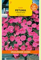Oranjeband zaden Petunia Pink Wave F1, Fortunia serie - afbeelding 1