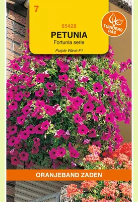 Oranjeband zaden Petunia Purple Wave F1, Fortunia serie - afbeelding 1