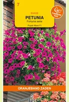 Oranjeband zaden Petunia Purple Wave F1, Fortunia serie kopen?