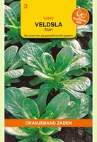 Oranjeband zaden Veldsla Elan (wordt Sensation) kopen?