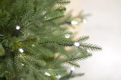 Our Nordic Christmas Arkansas grote kunstkerstboom houten voet groen 274cm - afbeelding 2