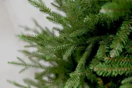 Our Nordic Christmas Arkansas grote kunstkerstboom houten voet groen 274cm - afbeelding 3