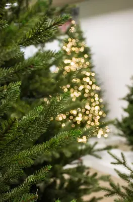 Our Nordic Christmas Arkansas grote kunstkerstboom houten voet groen 274cm - afbeelding 5