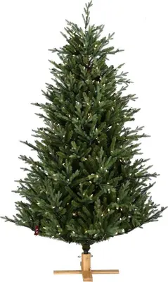 Our Nordic Christmas Arkansas kunstkerstboom groen 213cm, 450 lampjes - afbeelding 1