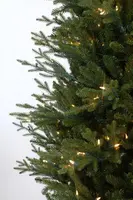 Our Nordic Christmas Arkansas kunstkerstboom groen 213cm, 450 lampjes - afbeelding 3