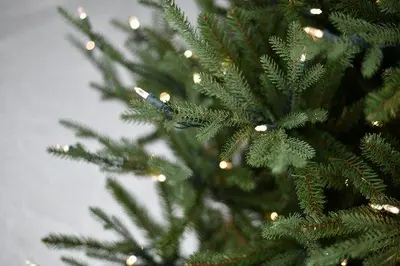 Our Nordic Christmas Arkansas kunstkerstboom groen 228cm, 550 lampjes - afbeelding 3