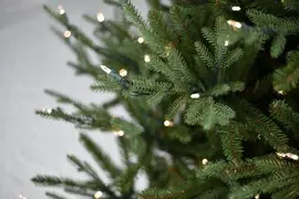 Our Nordic Christmas Arkansas kunstkerstboom groen 228cm, 550 lampjes - afbeelding 3