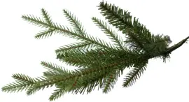 Our Nordic Christmas Arkansas kunstkerstboom houten voet groen 213cm - afbeelding 3