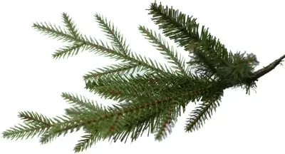 Our Nordic Christmas Arkansas kunstkerstboom houten voet groen 183cm - afbeelding 3