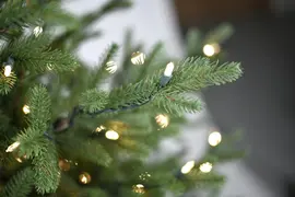 Our Nordic Christmas Göteborg kunstkerstboom 228cm, 600 lampjes - afbeelding 2