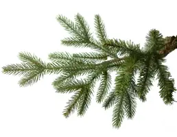 Our Nordic Christmas Göteborg kunstkerstboom 228cm, 600 lampjes - afbeelding 2