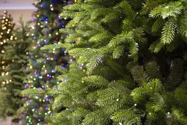 Our Nordic Christmas Helsinki kunstkerstboom met houten voet 228 cm - afbeelding 2