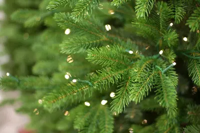 Our Nordic Christmas Helsinki kunstkerstboom met houten voet 228 cm - afbeelding 3