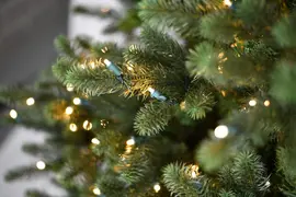 Our Nordic Christmas Kentucky Deluxe grote kunstkerstboom groen 243cm, 1050 lampjes - afbeelding 3