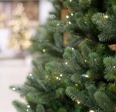 Our Nordic Christmas Kentucky Deluxe grote kunstkerstboom groen 243cm, 1050 lampjes - afbeelding 2