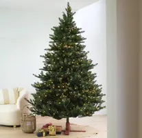 Our Nordic Christmas Kentucky Deluxe grote kunstkerstboom groen 243cm, 1050 lampjes - afbeelding 1