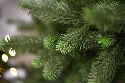 Our Nordic Christmas Kentucky Deluxe kunstkerstboom groen 183cm - afbeelding 3