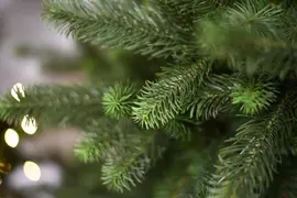 Our Nordic Christmas Kentucky Deluxe kunstkerstboom groen 228cm - afbeelding 3
