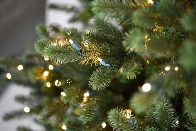 Our Nordic Christmas Kentucky Deluxe kunstkerstboom groen 228cm, 800 lampjes - afbeelding 2