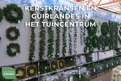 Own Tree Alaskan kerstkrans groen Ø 90cm - afbeelding 2