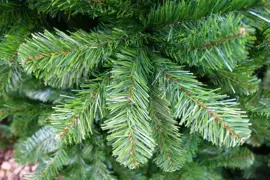 Own Tree Arctic spruce grote kunstkerstboom groen 365cm - afbeelding 2