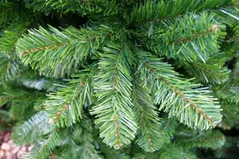 Own Tree Arctic spruce grote kunstkerstboom h365x210cm groen - afbeelding 2