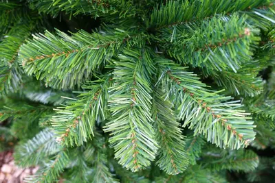 Own Tree Arctic spruce kunstkerstboom h120x75cm groen - afbeelding 2