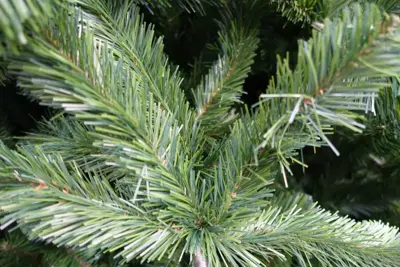 Own Tree Giant grote kunstkerstboom groen 400cm - afbeelding 2