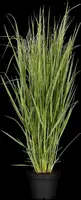 Panicum virgatum 'Northwind' (Vingergras 'Northwind') - afbeelding 8