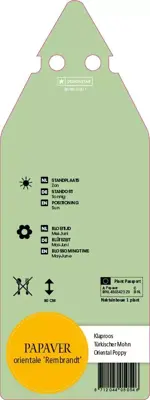 Papaver Orientale Rembrandt (Oosterse papaver) - afbeelding 2