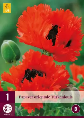 Papaver orientale turkenlouis 1 stuks - afbeelding 1