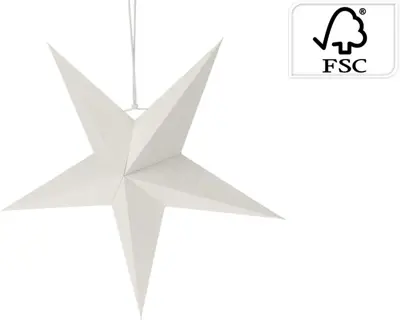 Papieren kerst ornament ster 45cm wit - afbeelding 1