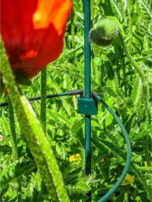 Peacock glasfiber grondpin 100 cm - ø 8 mm - afbeelding 3