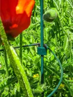 Peacock glasfiber grondpin 75 cm - ø 8 mm - afbeelding 3
