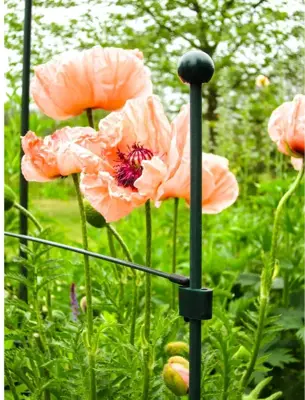 Peacock glasfiber steunring 75 cm - afbeelding 2