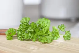 Petroselinum crispum (Peterselie) - afbeelding 20
