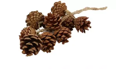 Pine Cluster guirlande 35 cm