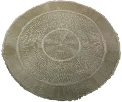 Placemat kunststof stripes 38x1cm goud kopen?