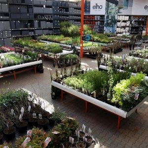 Planten, Bollen & Zaden