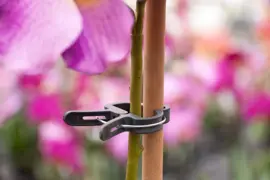 Plantenclip d35mm 5st - afbeelding 3