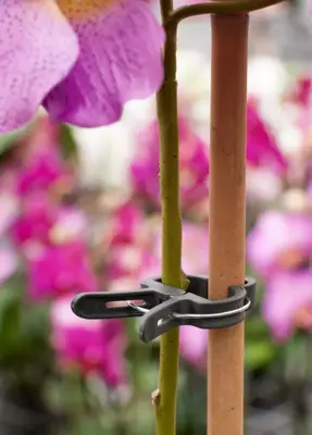 Plantenclip d35mm 5st - afbeelding 2