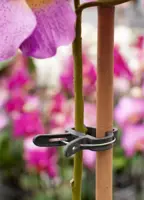 Plantenclip d35mm 5st - afbeelding 2