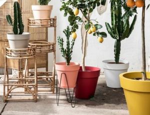 Plantenstandaarden binnen