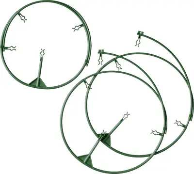 Plantensteunen vario d30/40cm 3st - afbeelding 3