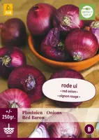 Plantuien red baron 250g - afbeelding 1