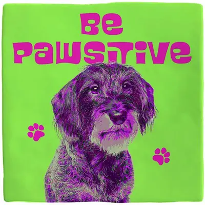 Plenty Gifts tegeltje keramiek be pawsitive 10x10cm groen - afbeelding 1