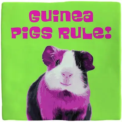 Plenty Gifts tegeltje keramiek guinea pigs rule 10x10cm groen - afbeelding 1