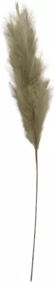 Pluim 120cm groengrijs - afbeelding 1